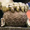Ball held by the male Guardian Lion at the Gate of Supreme Harmony, Forbidden City, Beijing, China, showing the pattern on its surface