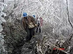 In a forest, tree branches can be seen covered with a layer of ice after the 2008 Chinese winter storms. Workers can be seen walking up a trail.