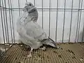 Silver bar