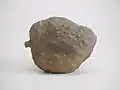 Moche ceramic cherimoya, 200 BC, Larco Museum Collection in Lima