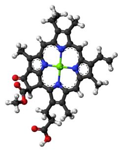 Chlorophyll c1 molecule