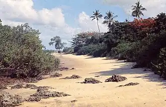 Chole Island