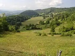 Photograph of a landscape.