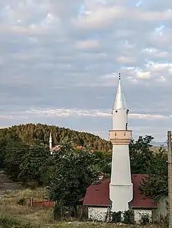 Landscape including a mosque in the village of Chubrika
