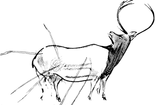 Solutrean wounded deer from Peña de Candamo, Spain
