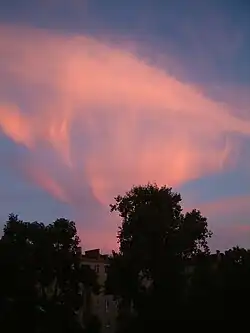A picture of a contorted cirrus cloud shining red in the sunset. Fall streaks (like long, thin streamers) descend from the clouds.