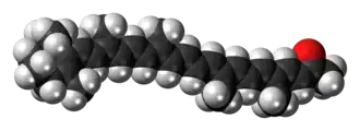 Space-filling model of the citranaxanthin molecule