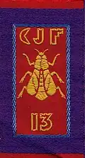 Insignia of CJF 13 (second model).