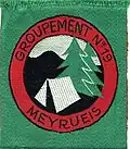Insignia of CJF 19.