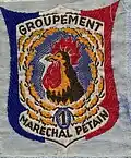 Insignia of CJF 1 - Team 1.