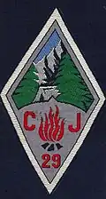 Insignia of CJF 29 - Direction Team.