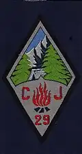 Insignia of CJF 29 - Team 9.