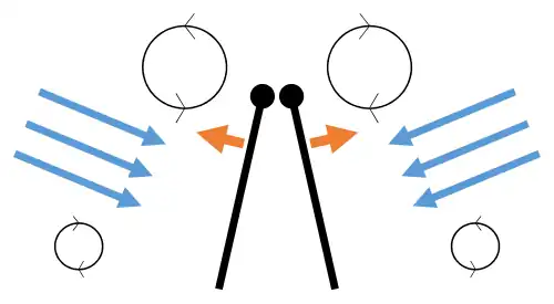 Clap 2: leading edges touch, wing rotates around leading edge, vortices form