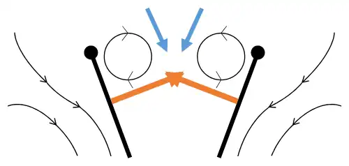 Fling 2: leading edge moves away, air rushes in, increasing lift
