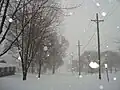 Snowing in Clarinda (December 2009)