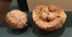 Two clay bullae, one complete with a seal impression on its surface, the other broken with the tokens visible. Oriental Institute Museum, Chicago.