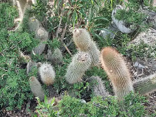 Habitat in Finca Iscayache, Bolivia