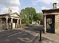Cleveland Bridge hybrid elm, Bath (2020)