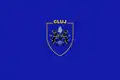 Flag of Cluj County