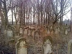 Historic Jewish Cemetery in Ożarów