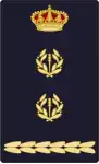 Spanish National Police
