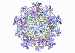 Cobalt 20 L 12 ball-and-stick model of a dodecahedral nanoparticle