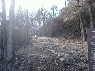 Cobblestone Path