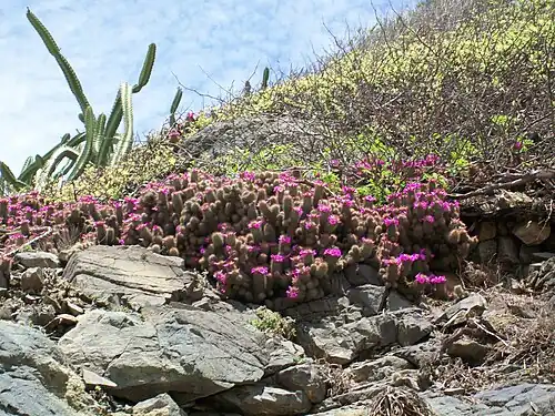 Habitat in Farallón, Jalisco, Mexico