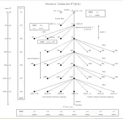 Coclass1Tree3Groups