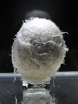 Egg