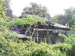Ruins of the Coker House in 2005