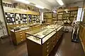The Sorbonne's Zoology Collection, April 2016.