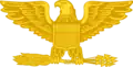 Colonel_Gold_eagle