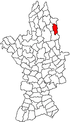 Location in Olt County