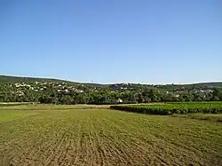 Combaillaux vineyards and wooded hills