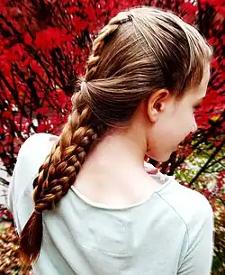 Various braids combined to look like a French and Dutch braid.