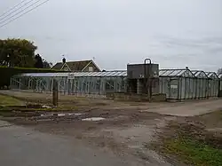 Glasshouses at Thearne