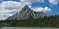 Cone Mountain