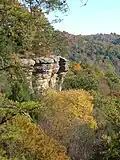 Ridge above Conkles Hollow