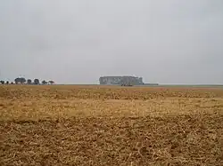 Fields in Contalmaison
