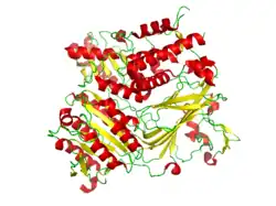 Conformation of the CopII protein that is complexed with the snare protein Sed5 (PDB: 1PD0).