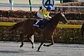 2014 Hyacinth Stakes