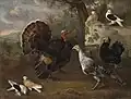 Fowl, Museum of Fine Arts, Budapest