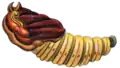Illustrated pupa