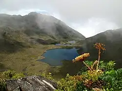 Landscape with mountains, lakes, and flora in the foreground