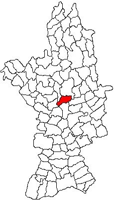 Location in Olt County