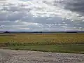 Coteau des Prairies as seen from the northeast, near Lidgerwood, ND