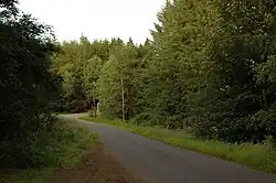 Asphalt road through a forest.