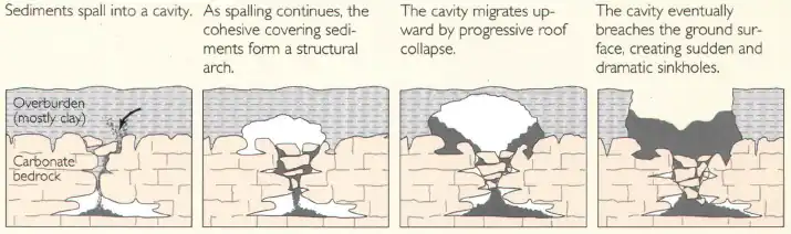 Sediments spall into a cavity. As spalling continues, the cohesive covering sediments form a structural arch. The cavity migrates upward by progressive roof collapse. The cavity eventually breaches the ground surface, creating sudden and dramatic sinkholes.