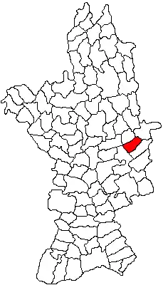 Location in Olt County